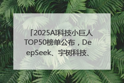 2025AI科技小巨人TOP50榜单公布，DeepSeek、宇树科技、蘑菇车联等企业荣誉上榜