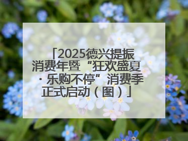 2025德兴提振消费年暨“狂欢盛夏・乐购不停”消费季正式启动（图）