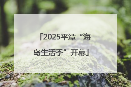 2025平潭“海岛生活季”开幕