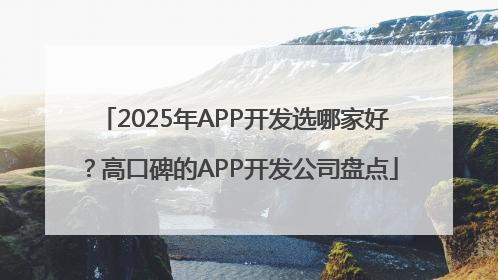 2025年APP开发选哪家好？高口碑的APP开发公司盘点