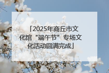 2025年商丘市文化馆“端午节”专场文化活动圆满完成