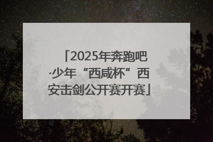 2025年奔跑吧·少年“西咸杯”西安击剑公开赛开赛