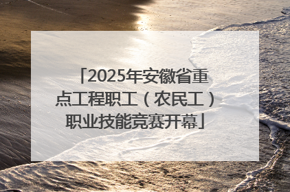 2025年安徽省重点工程职工（农民工）职业技能竞赛开幕