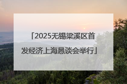 2025无锡梁溪区首发经济上海恳谈会举行
