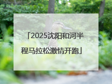 2025沈阳和河半程马拉松激情开跑