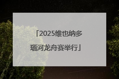 2025维也纳多瑙河龙舟赛举行