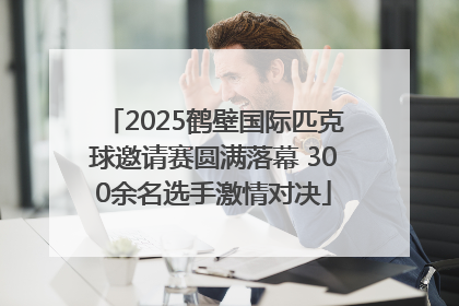 2025鹤壁国际匹克球邀请赛圆满落幕 300余名选手激情对决