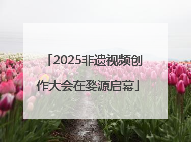 2025非遗视频创作大会在婺源启幕