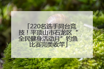 220名选手同台竞技！平顶山市石龙区“全民健身活动月”钓鱼比赛完美收竿