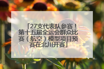 27支代表队参赛！第十五届全运会群众比赛（航空）模型项目预赛在北川开赛