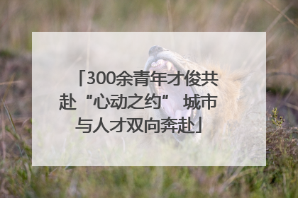 300余青年才俊共赴“心动之约” 城市与人才双向奔赴