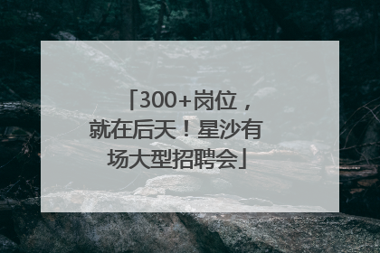 300+岗位，就在后天！星沙有场大型招聘会