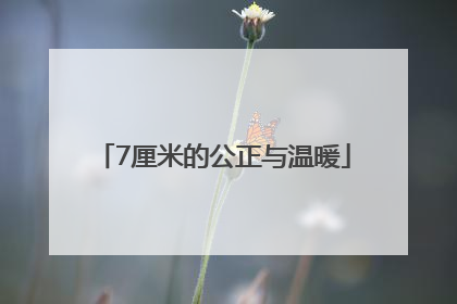 7厘米的公正与温暖