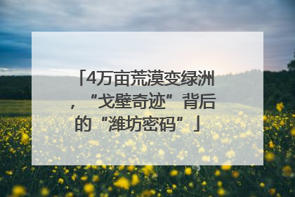 4万亩荒漠变绿洲，“戈壁奇迹”背后的“潍坊密码”