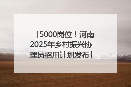 5000岗位！河南2025年乡村振兴协理员招用计划发布