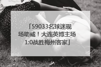 59033名球迷现场助威！大连英博主场1:0战胜梅州客家