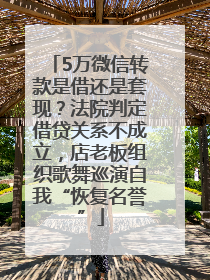 5万微信转款是借还是套现？法院判定借贷关系不成立，店老板组织歌舞巡演自我“恢复名誉”