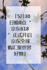 5月30日晚8点“京东618”正式开启 京东全球购汇聚世界好物