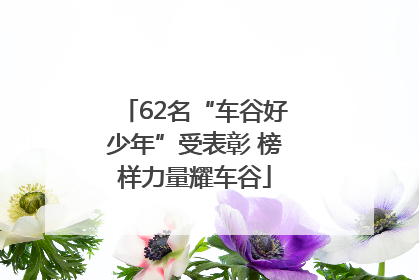 62名“车谷好少年”受表彰 榜样力量耀车谷