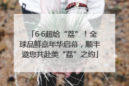 6·6超给“荔”！全球品鲜嘉年华启幕，顺丰邀您共赴美“荔”之约