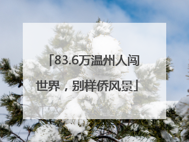 83.6万温州人闯世界，别样侨风景