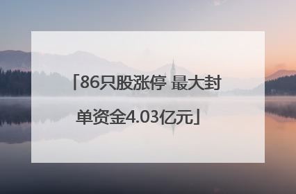 86只股涨停 最大封单资金4.03亿元
