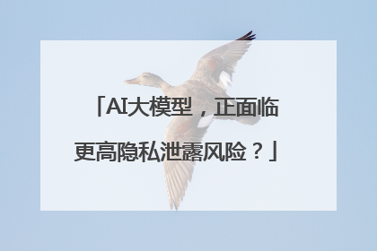 AI大模型，正面临更高隐私泄露风险？