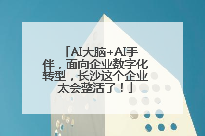 AI大脑+AI手伴，面向企业数字化转型，长沙这个企业太会整活了！