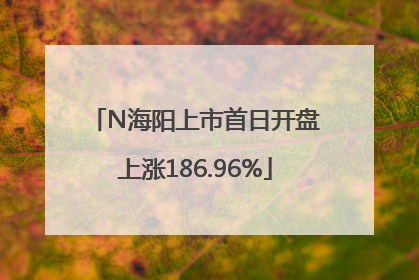 N海阳上市首日开盘上涨186.96%
